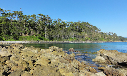 Road Trips Sydney